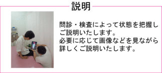 説明